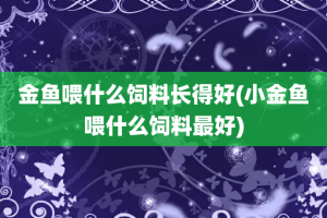 金鱼喂什么饲料长得好(小金鱼喂什么饲料最好)