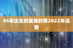 95年出生的属猪的男2022年运势