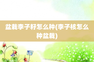 盆栽李子籽怎么种(李子核怎么种盆栽)