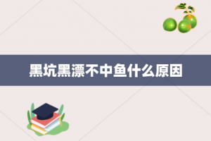 黑坑黑漂不中鱼什么原因