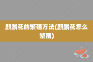 麒麟花的繁殖方法(麒麟花怎么繁殖)