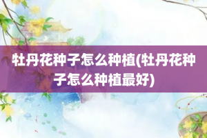 牡丹花种子怎么种植(牡丹花种子怎么种植最好)