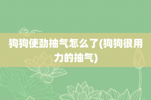 狗狗使劲抽气怎么了(狗狗很用力的抽气)