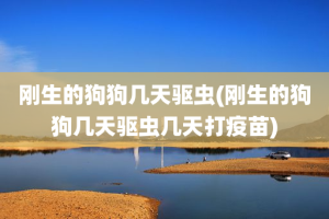 刚生的狗狗几天驱虫(刚生的狗狗几天驱虫几天打疫苗)