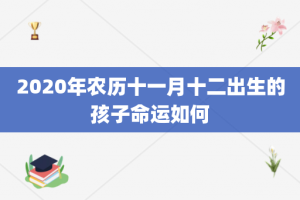 2020年农历十一月十二出生的孩子命运如何