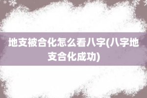 地支被合化怎么看八字(八字地支合化成功)