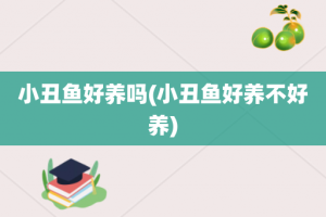 小丑鱼好养吗(小丑鱼好养不好养)