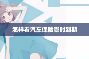 怎样看汽车保险哪时到期