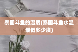 泰国斗鱼的温度(泰国斗鱼水温最低多少度)
