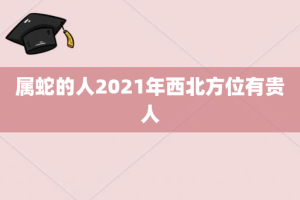 属蛇的人2021年西北方位有贵人