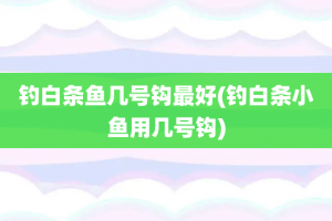 钓白条鱼几号钩最好(钓白条小鱼用几号钩)