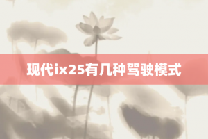 现代ix25有几种驾驶模式