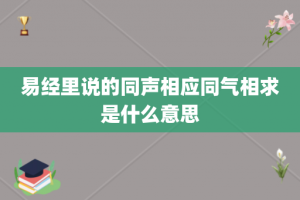 易经里说的同声相应同气相求是什么意思