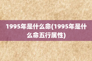 1995年是什么命(1995年是什么命五行属性)