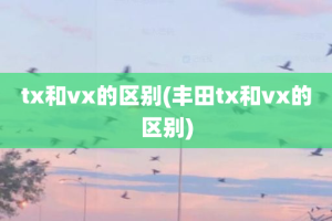 tx和vx的区别(丰田tx和vx的区别)