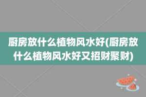 厨房放什么植物风水好(厨房放什么植物风水好又招财聚财)