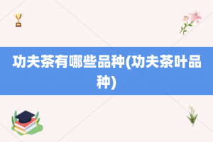 功夫茶有哪些品种(功夫茶叶品种)