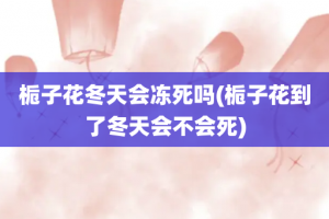 栀子花冬天会冻死吗(栀子花到了冬天会不会死)