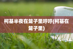 柯基半夜在笼子里哼哼(柯基在笼子里)