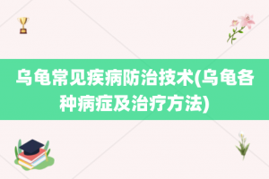 乌龟常见疾病防治技术(乌龟各种病症及治疗方法)