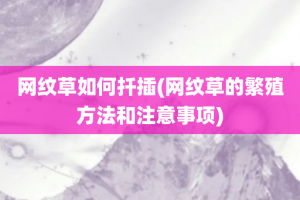 网纹草如何扦插(网纹草的繁殖方法和注意事项)