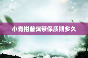 小青柑普洱茶保质期多久