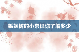 婚姻树的小常识你了解多少