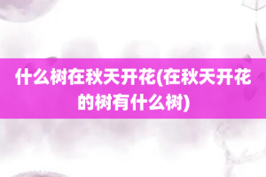 什么树在秋天开花(在秋天开花的树有什么树)