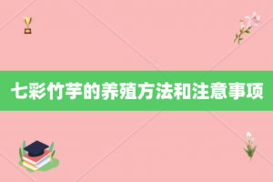 七彩竹芋的养殖方法和注意事项