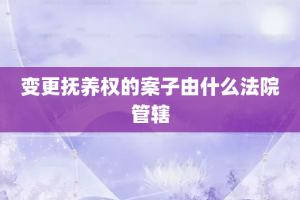 变更抚养权的案子由什么法院管辖