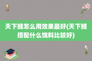 天下鲤怎么用效果最好(天下鲤搭配什么饵料比较好)