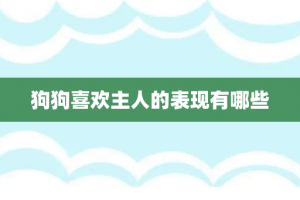 狗狗喜欢主人的表现有哪些