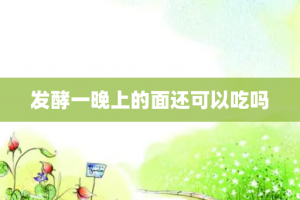 发酵一晚上的面还可以吃吗