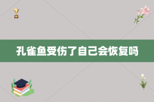 孔雀鱼受伤了自己会恢复吗