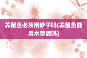 养鼠鱼必须用砂子吗(养鼠鱼能用水草泥吗)