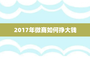 2017年微商如何挣大钱