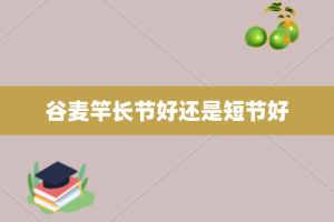 谷麦竿长节好还是短节好