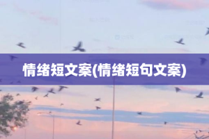 情绪短文案(情绪短句文案)