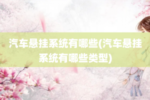 汽车悬挂系统有哪些(汽车悬挂系统有哪些类型)