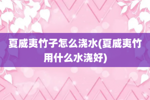 夏威夷竹子怎么浇水(夏威夷竹用什么水浇好)