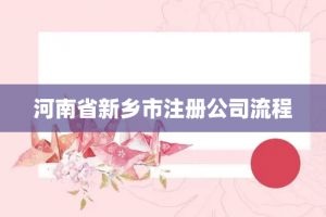 河南省新乡市注册公司流程