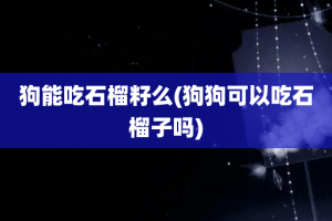 狗能吃石榴籽么(狗狗可以吃石榴子吗)