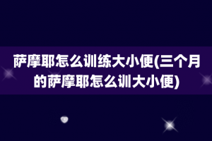 萨摩耶怎么训练大小便(三个月的萨摩耶怎么训大小便)