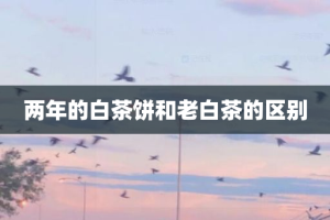 两年的白茶饼和老白茶的区别