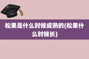 松果是什么时候成熟的(松果什么时候长)