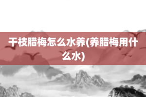 干枝腊梅怎么水养(养腊梅用什么水)