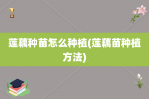 莲藕种苗怎么种植(莲藕苗种植方法)