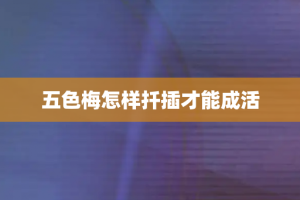 五色梅怎样扦插才能成活