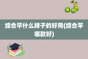 综合竿什么牌子的好用(综合竿哪款好)