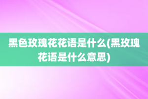 黑色玫瑰花花语是什么(黑玫瑰花语是什么意思)